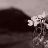 Wintercosmos test04