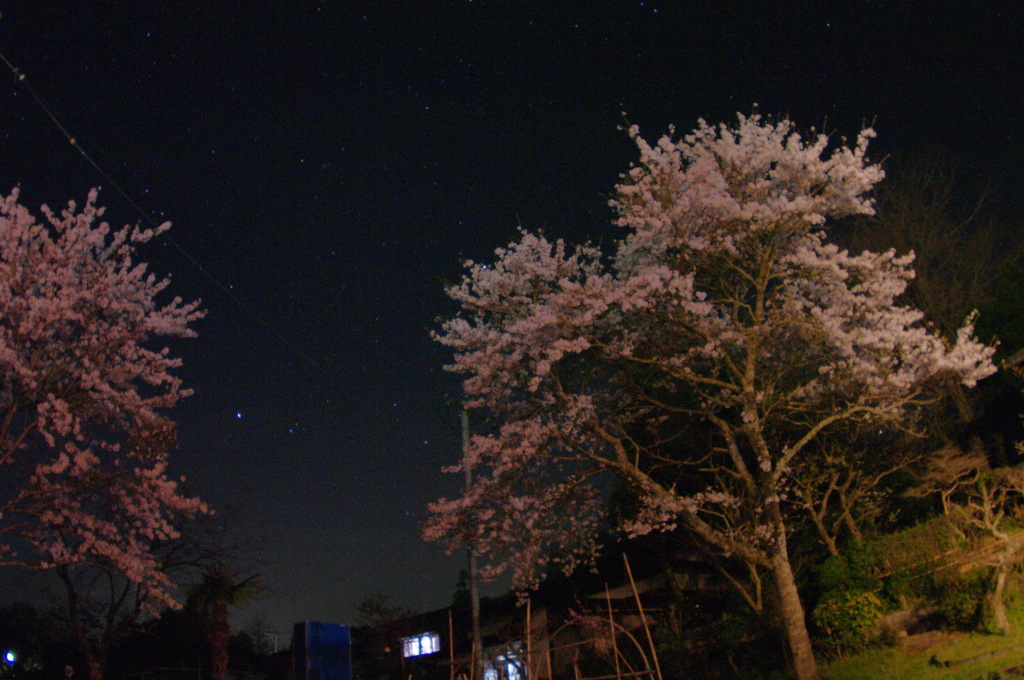 夜空に添えて