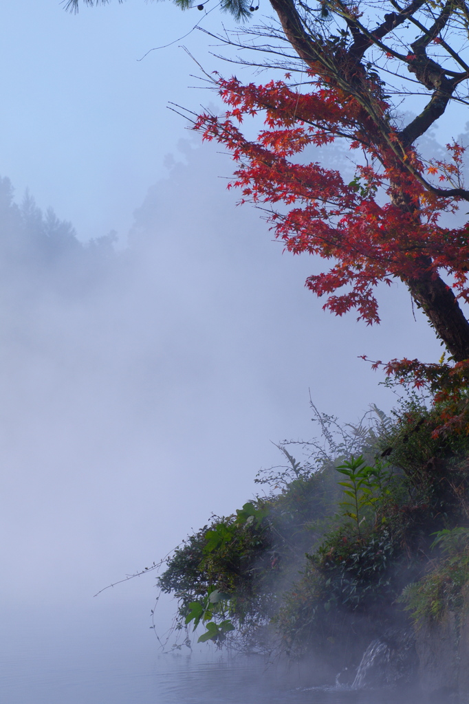 朝霧につつまれて