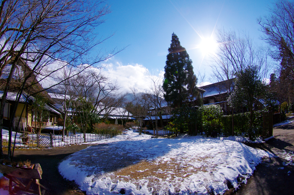 湯布院街角スナップ05