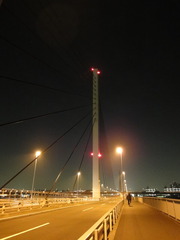 橋