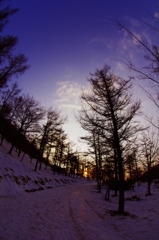 夕景の雪道
