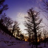 夕景の雪道