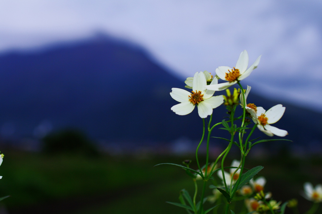 Wintercosmos test01