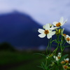 Wintercosmos test01