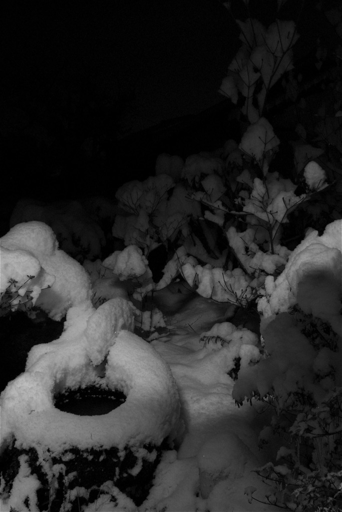 由布院は雪2