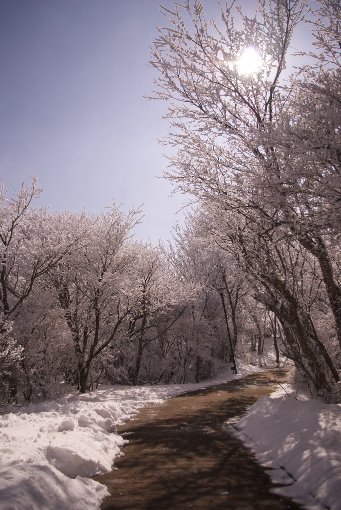 雪道