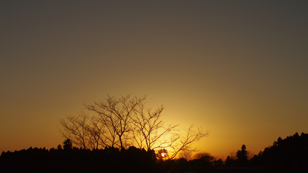 夕陽を求めて