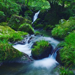 清水瀑園