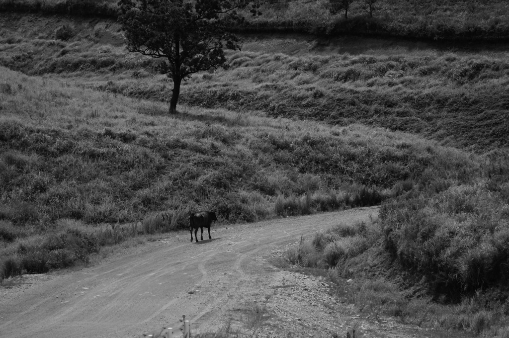 Scene2
