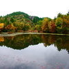 鶴ヶ原の景