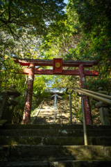 柞原八幡宮の鳥居