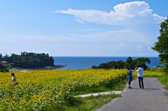 夏を感じて