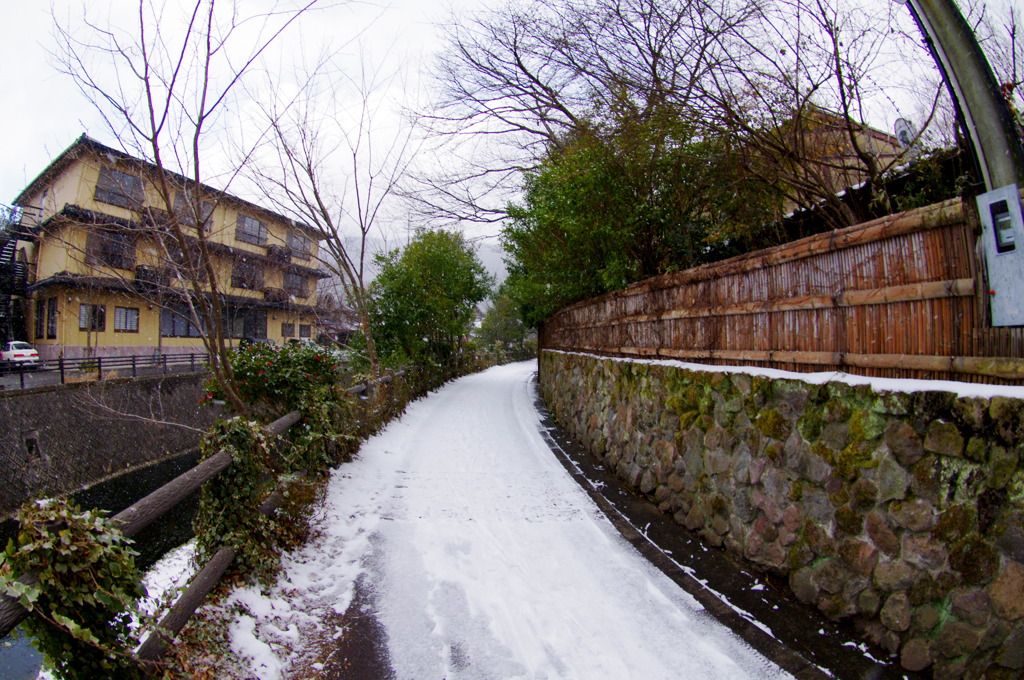 湯布院街角スナップ03