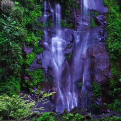 白水の滝 1