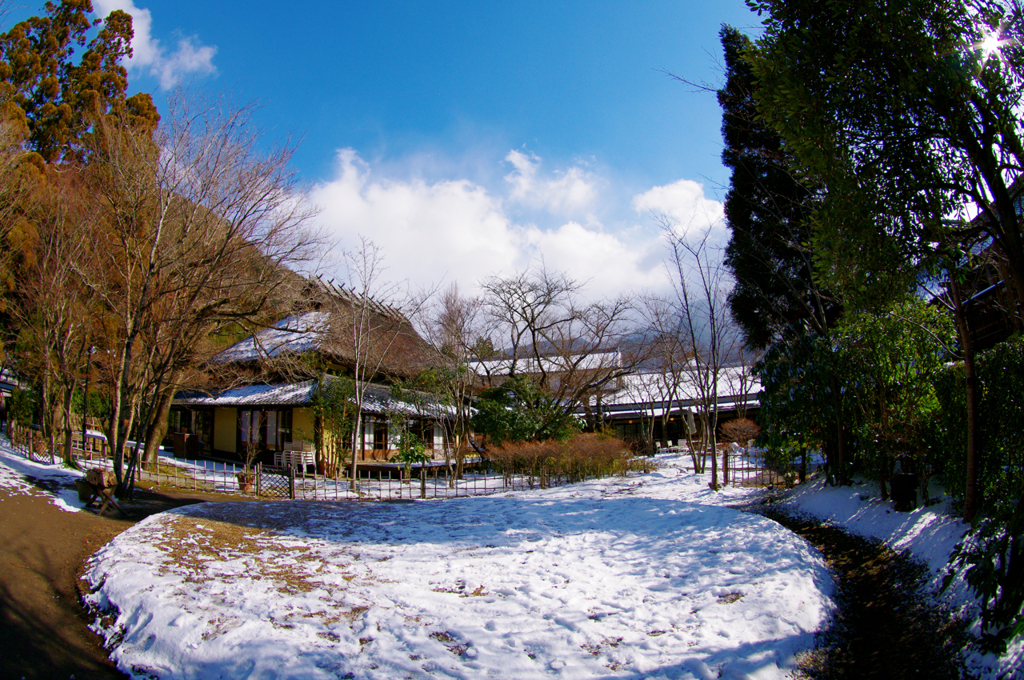 湯布院街角スナップ04