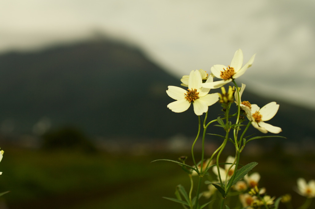 Wintercosmos test02