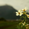 Wintercosmos test02