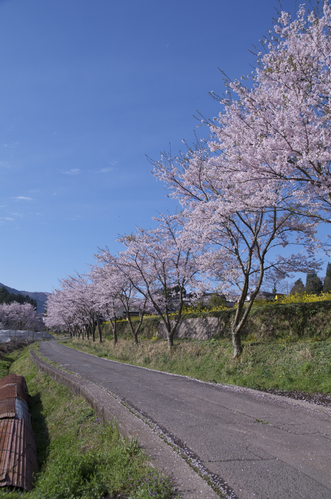 青空と共に