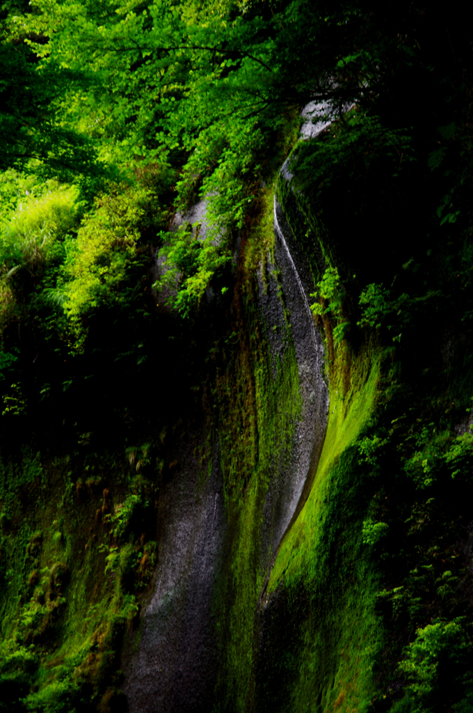 由布川峡谷3