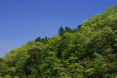 緑山