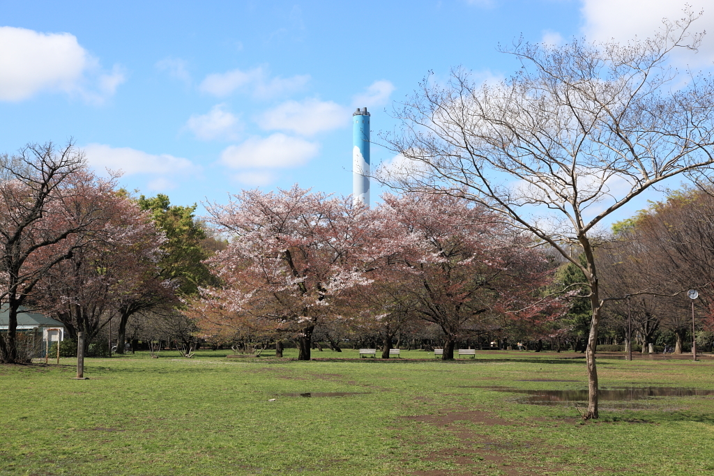 砧公園