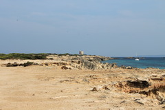 イビサ島 Ses Salinas Beach