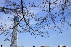 東京スカイツリー