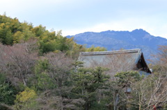 嵐山