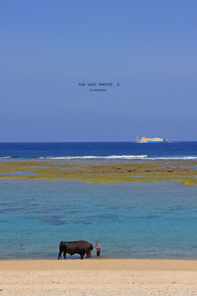喜念浜バマ