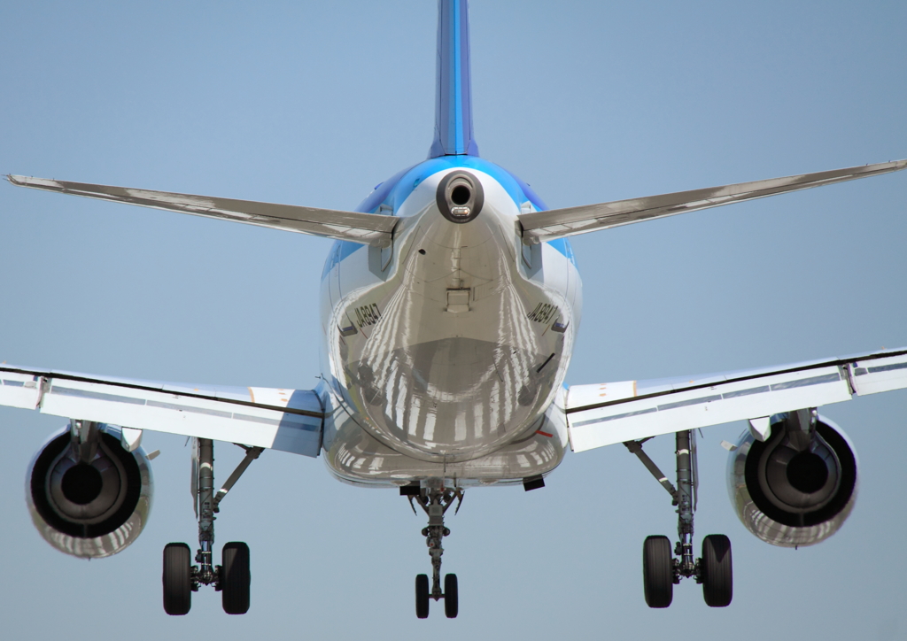 メタリックだったんですね