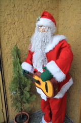 寒いけど、弾きます。