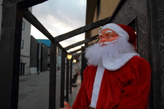 今年も働きます