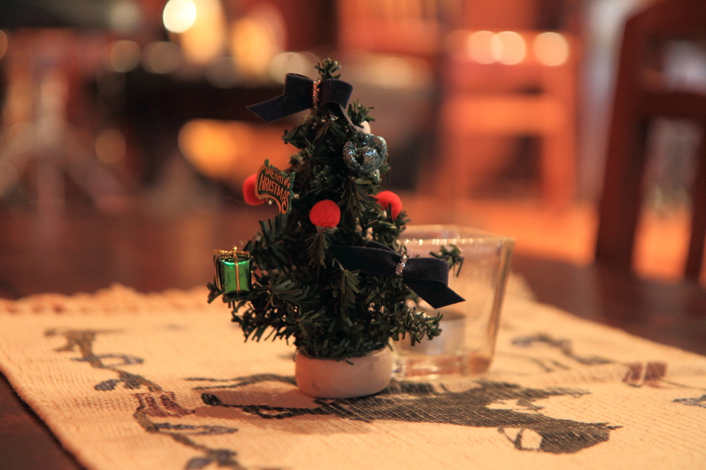 冬を照らします