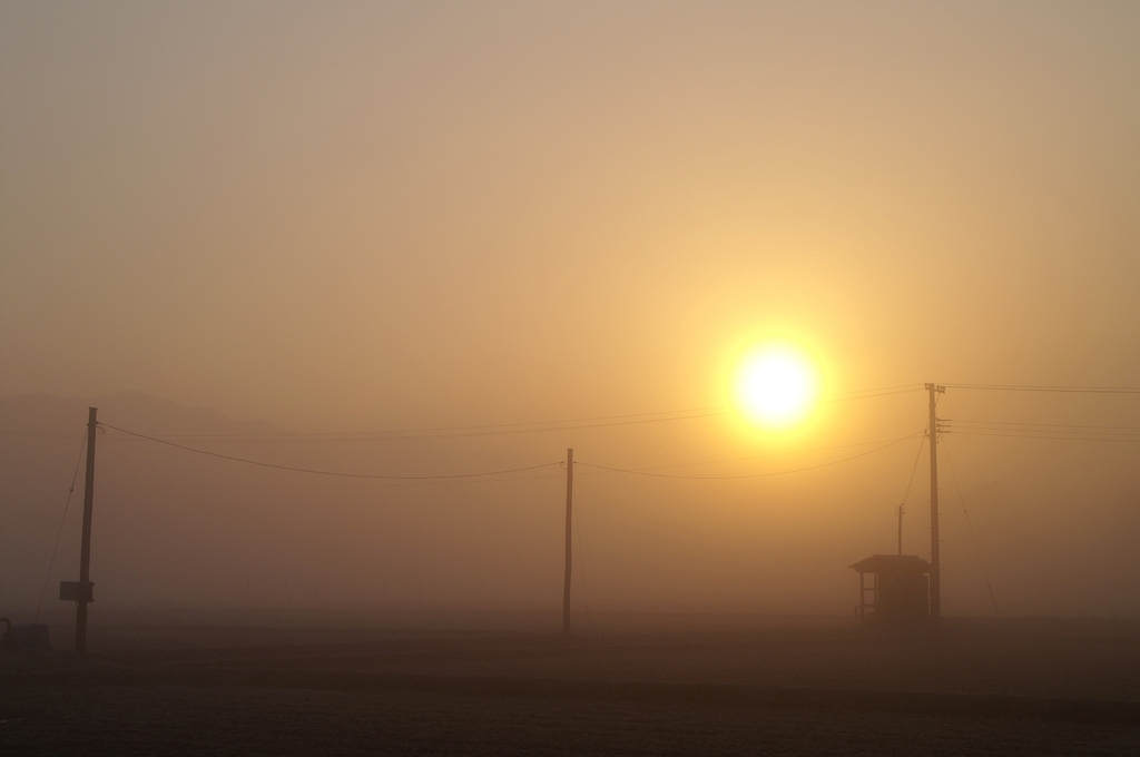 早春の朝霧