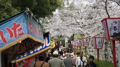 お城まつり｜大和郡山｜奈良｜2010.4.4