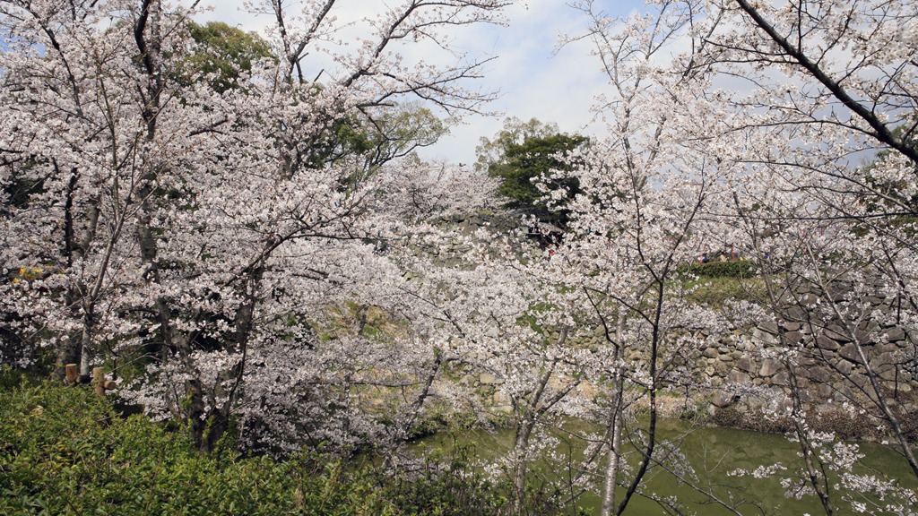 お城まつり｜大和郡山｜奈良｜2010.4.4