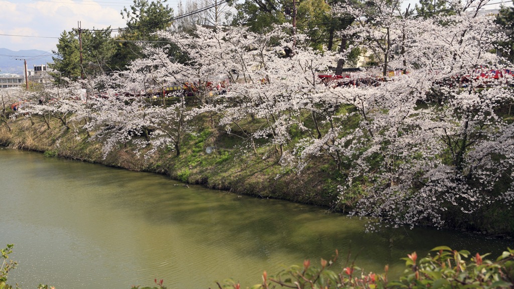 お城まつり｜大和郡山｜奈良｜2010.4.4
