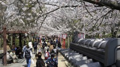 お城まつり｜大和郡山｜奈良｜2010.4.4