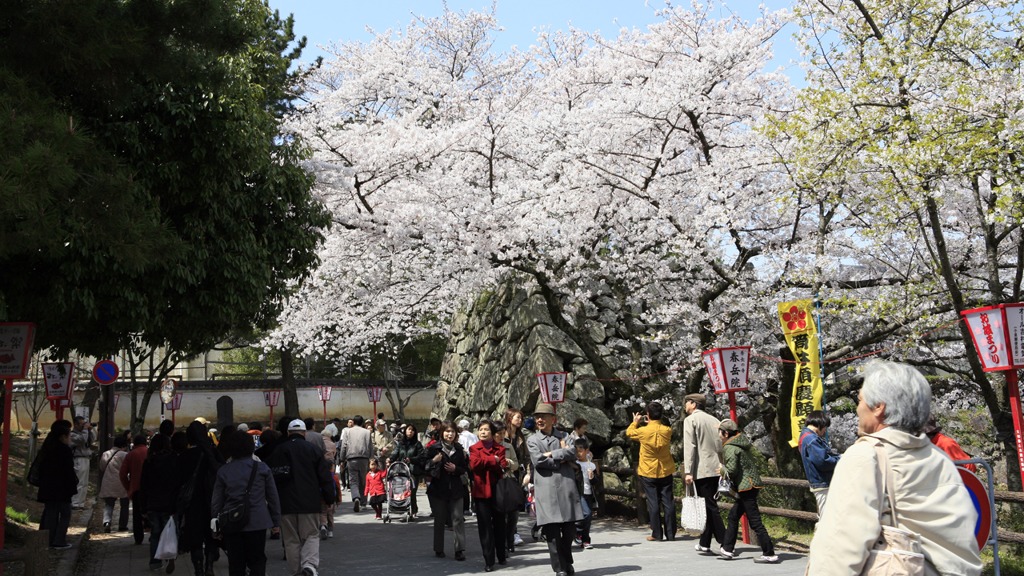 お城まつり｜大和郡山｜奈良｜2010.4.4