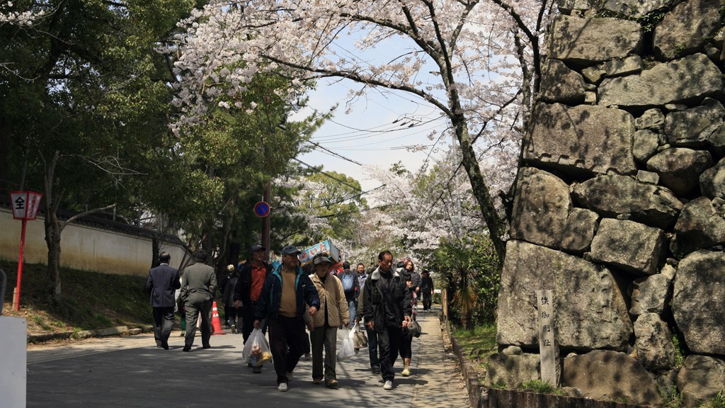 お城まつり｜大和郡山｜奈良｜2010.4.4