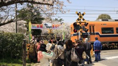 お城まつり｜大和郡山｜奈良｜2010.4.4