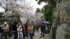 お城まつり｜大和郡山｜奈良｜2010.4.4