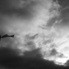 after the rain