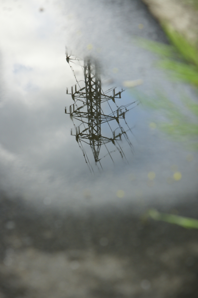 Puddle　Mirror