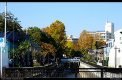DSCF0486