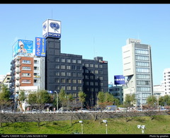 DSCF0511