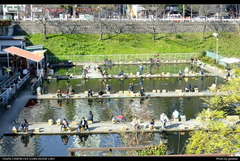 DSCF0508