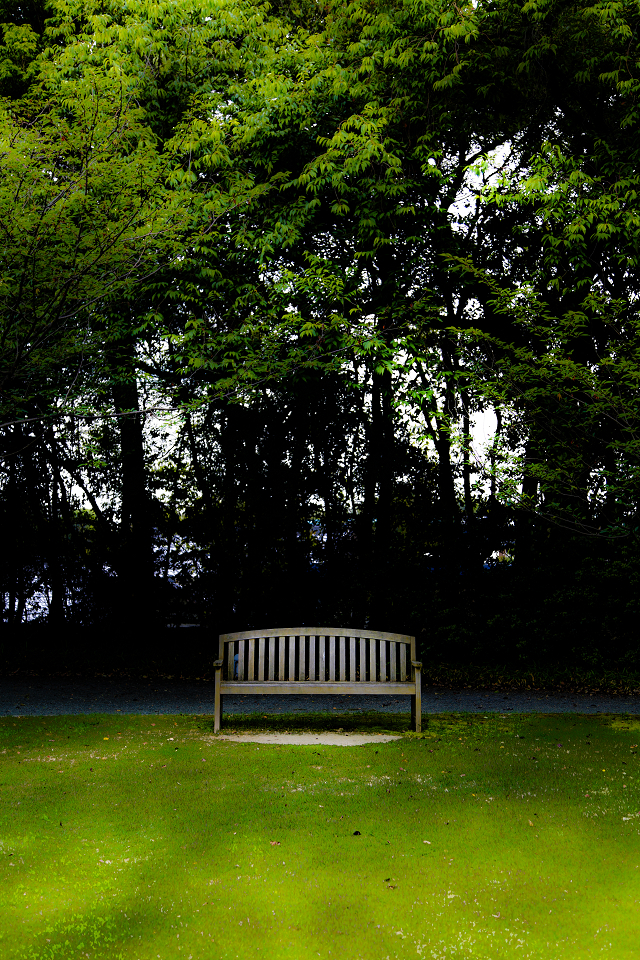 Scenery with the bench