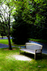 Scenery with the bench